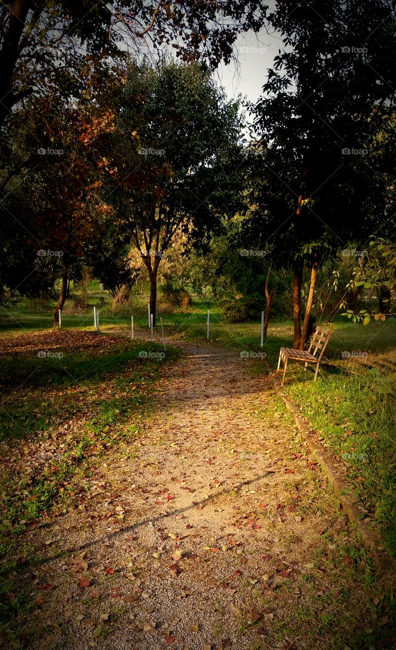 Islamabad Club Walking Track

Islamabad, Pakistan.