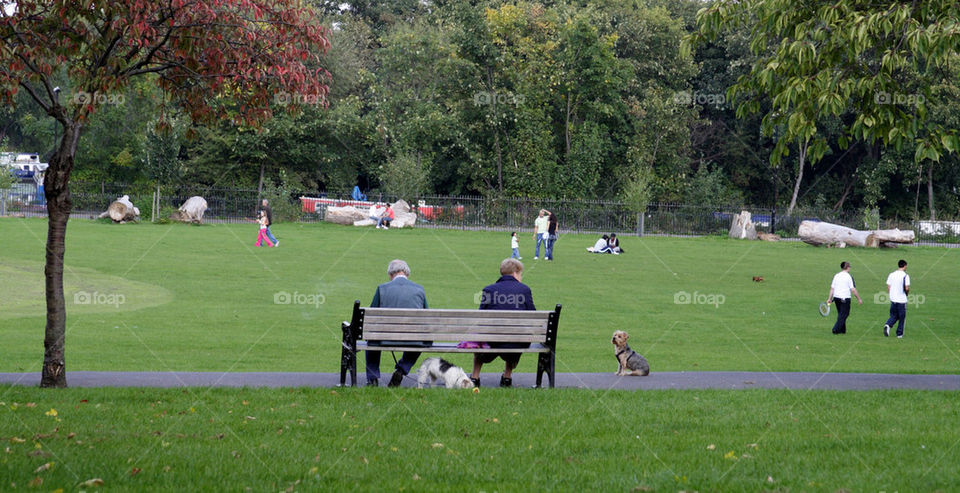 One day in a park