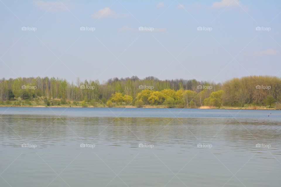 forest and lake shore beautiful spring landscape