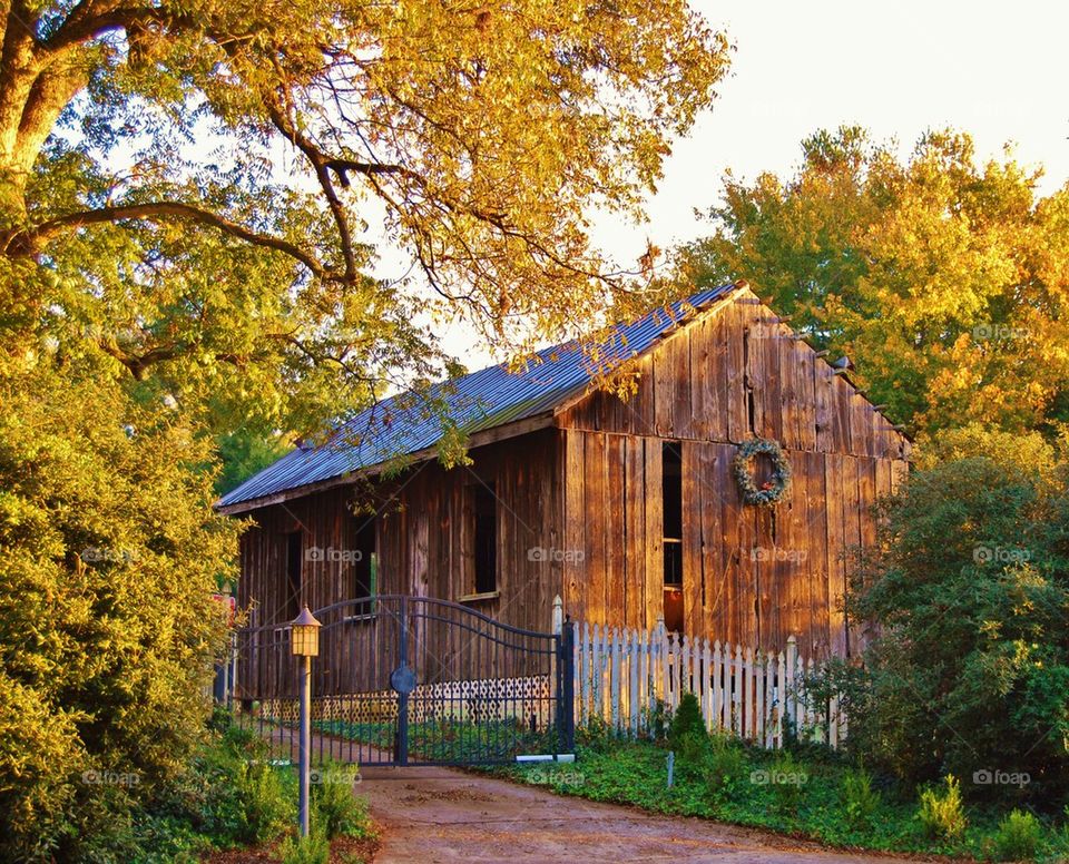 Barn in the early morning