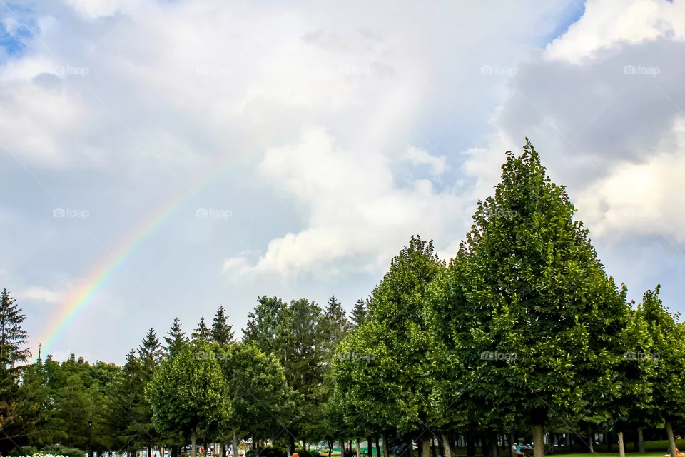Rainbow