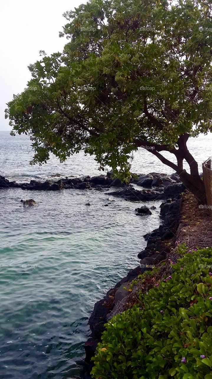 Quiet spot at the ocean