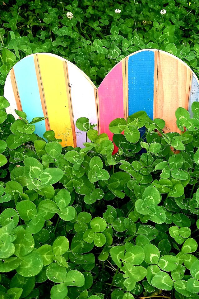 clover