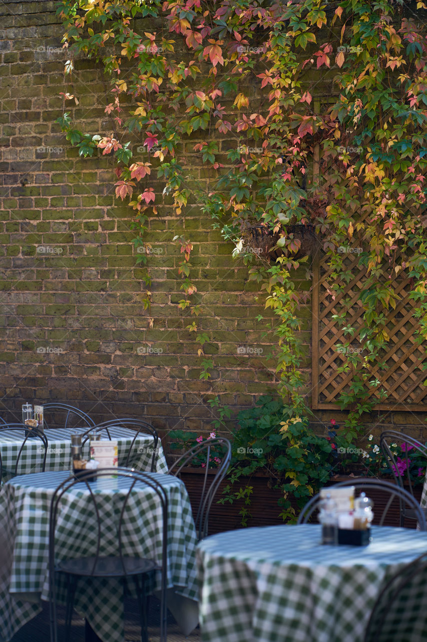 Patio en Otoño 