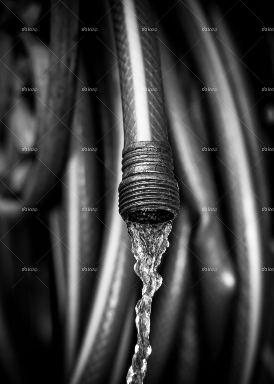 Water hose