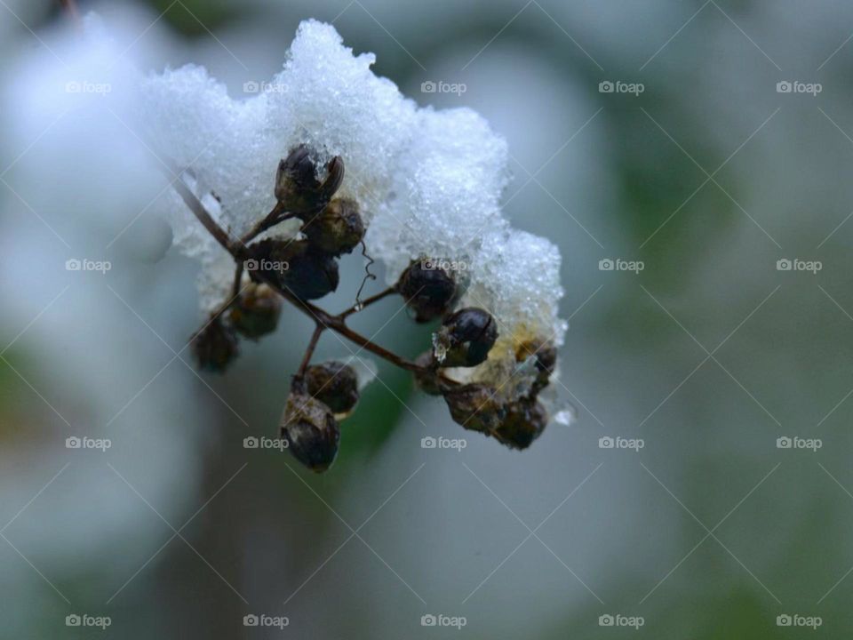 Nature’s icy artistry 