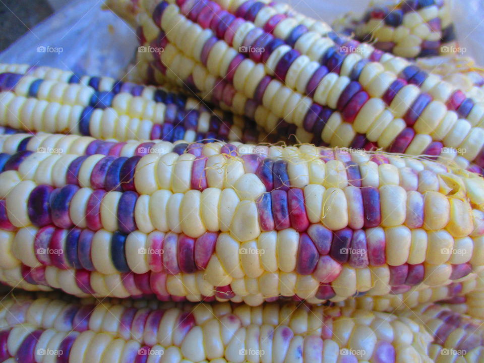 purple corn