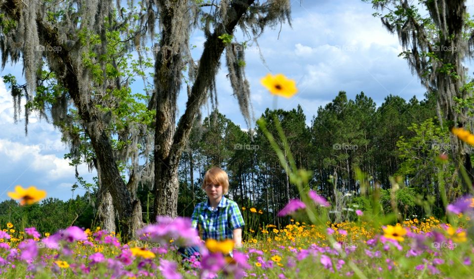 Boy sitting on flowers field