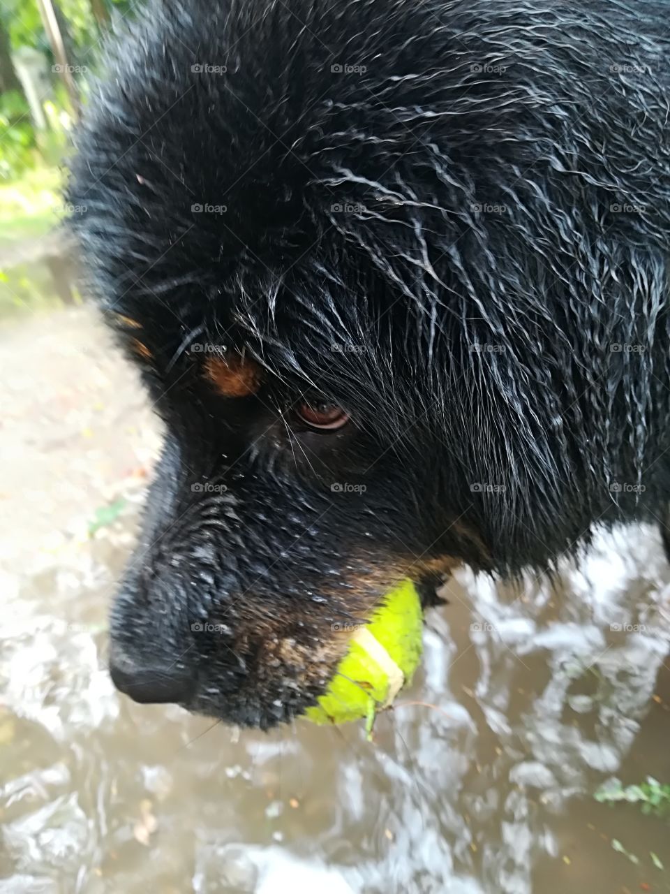 Wet beauty