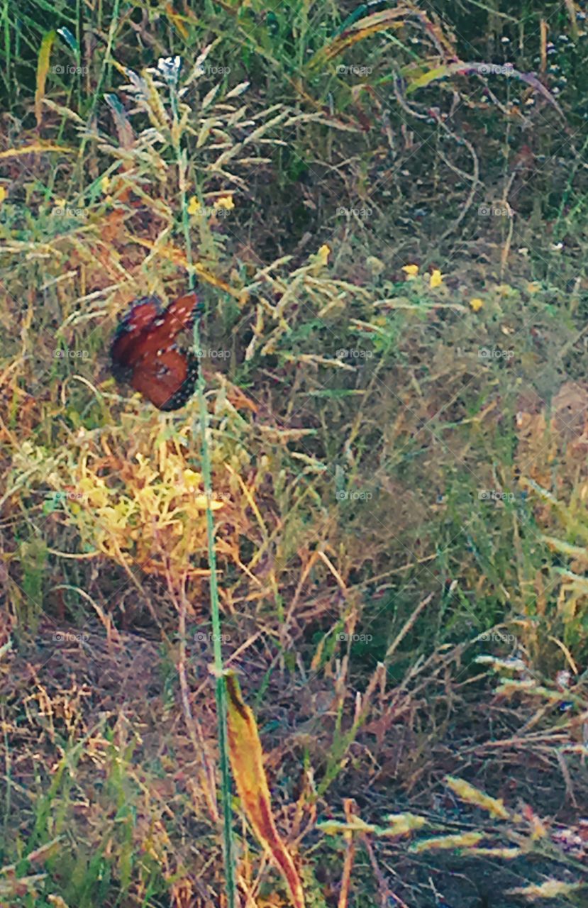 Stop an smell the flowers 