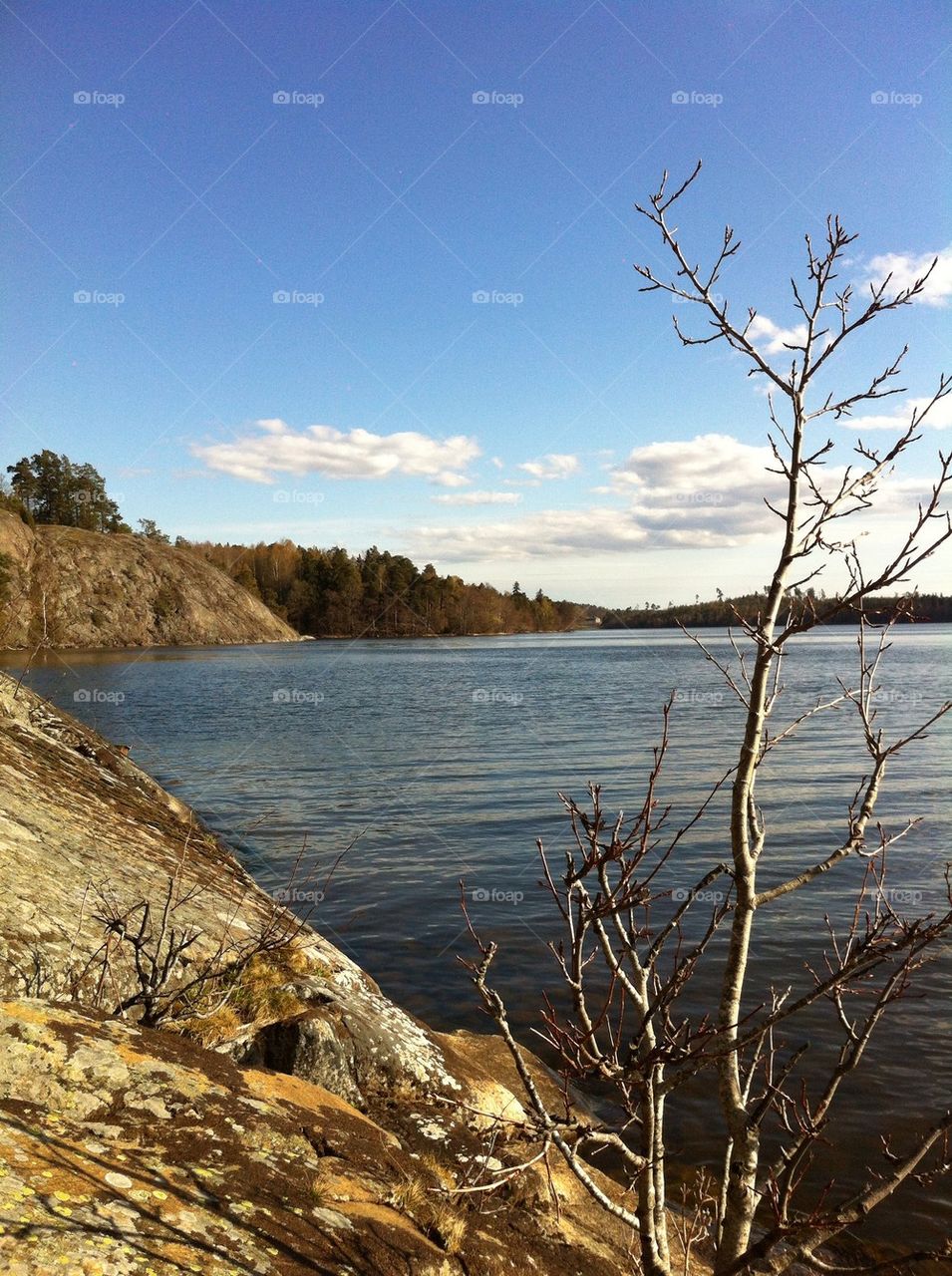 landscape sweden nature background by daju