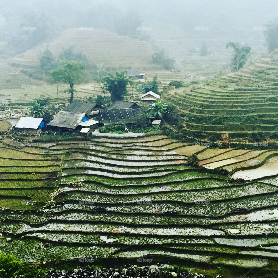 Terraced field 