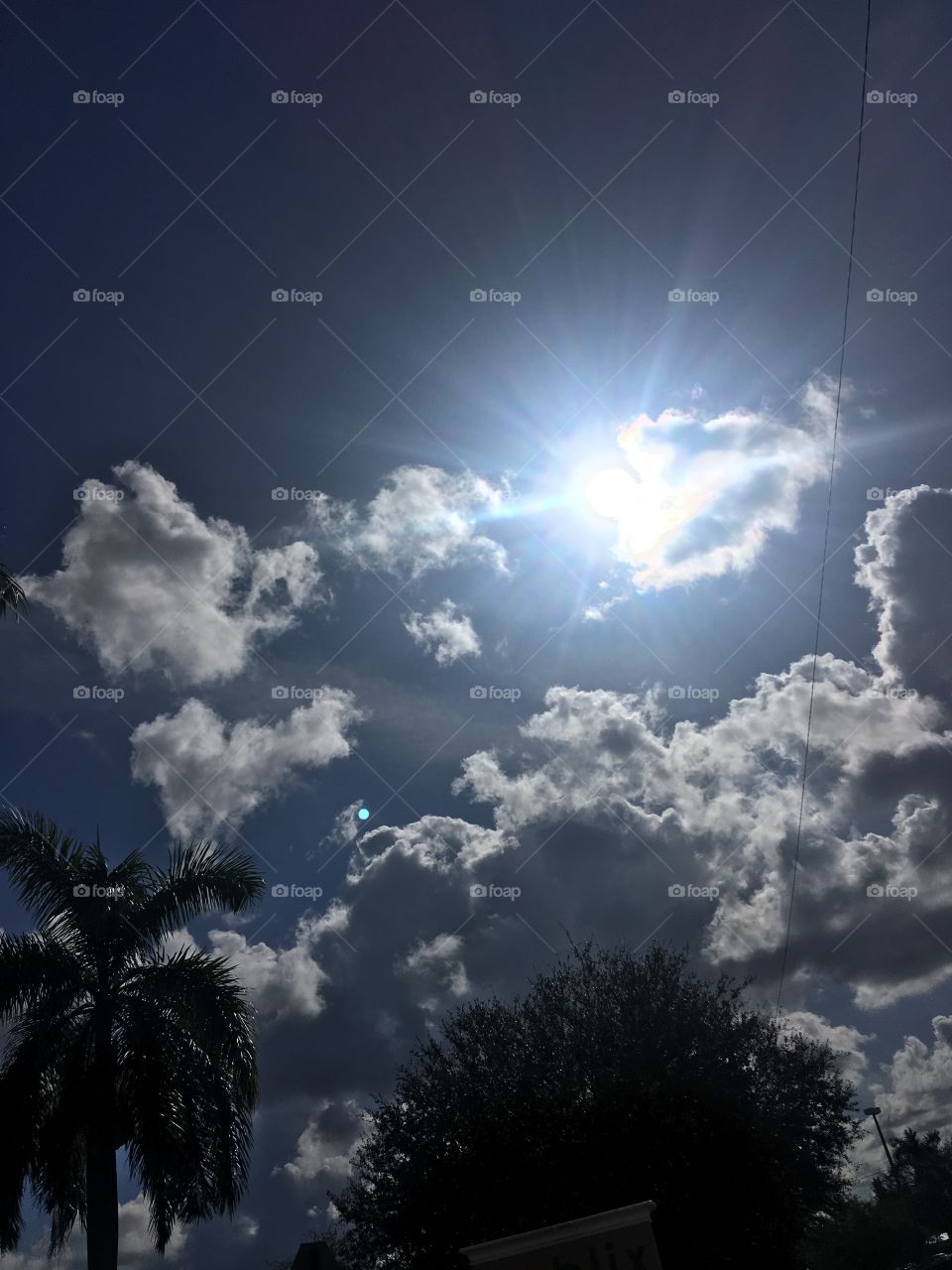 Sun shine blue sky with palm tree