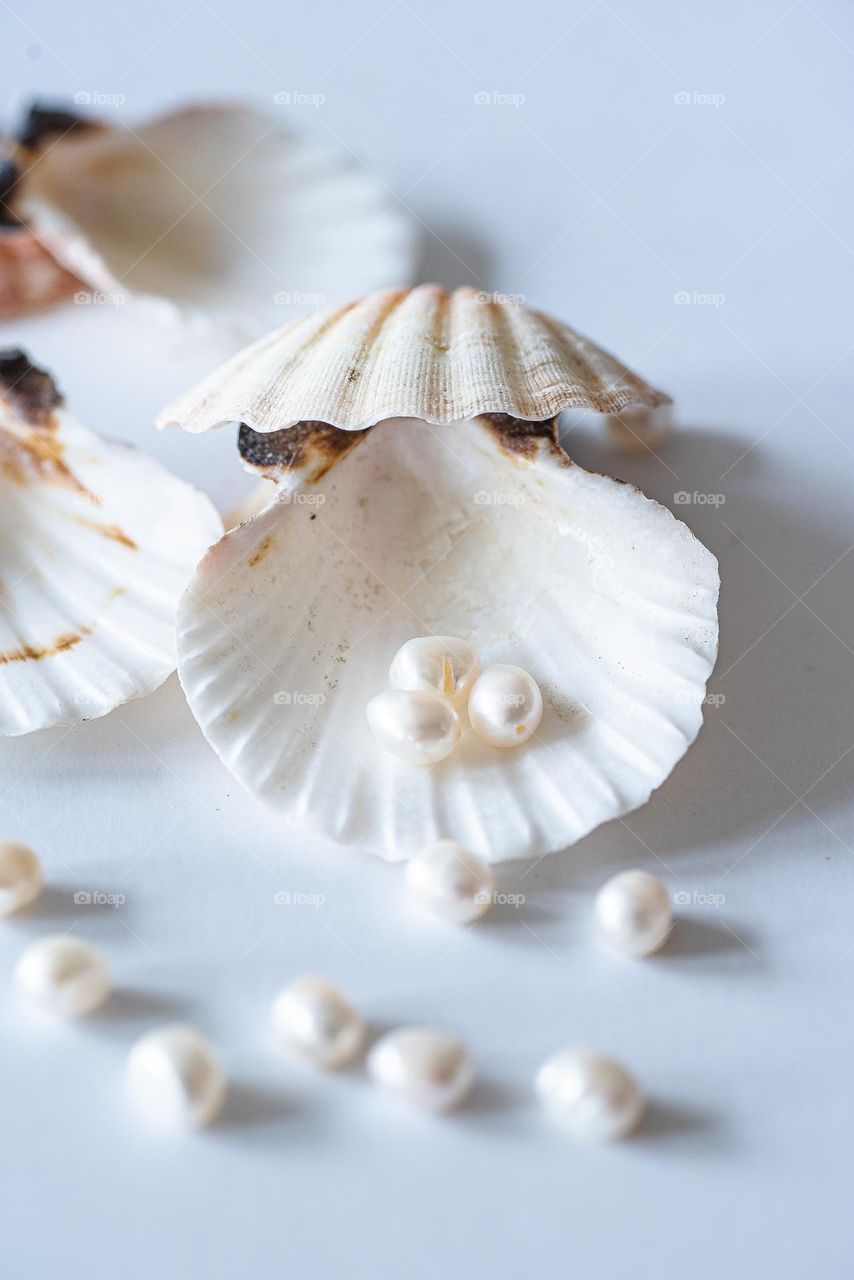 Pearls in shell.