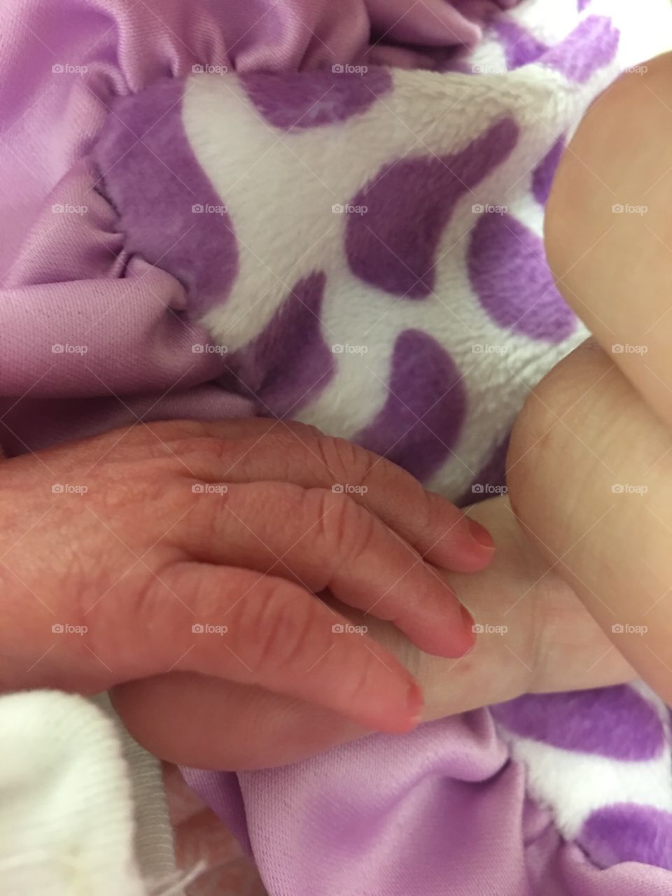 Preemie love