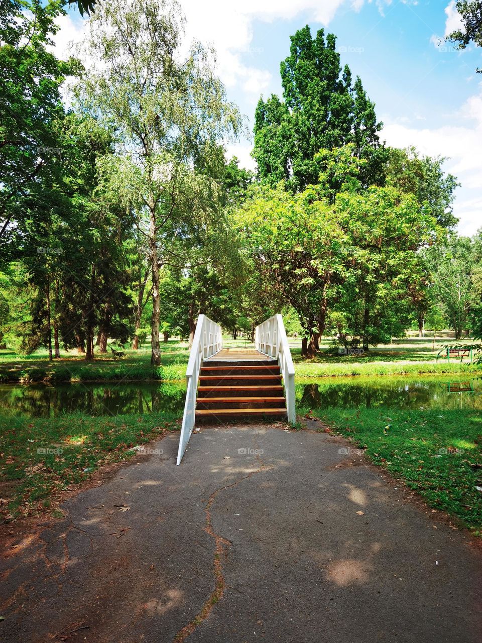 Walking in park. Beautiful city park