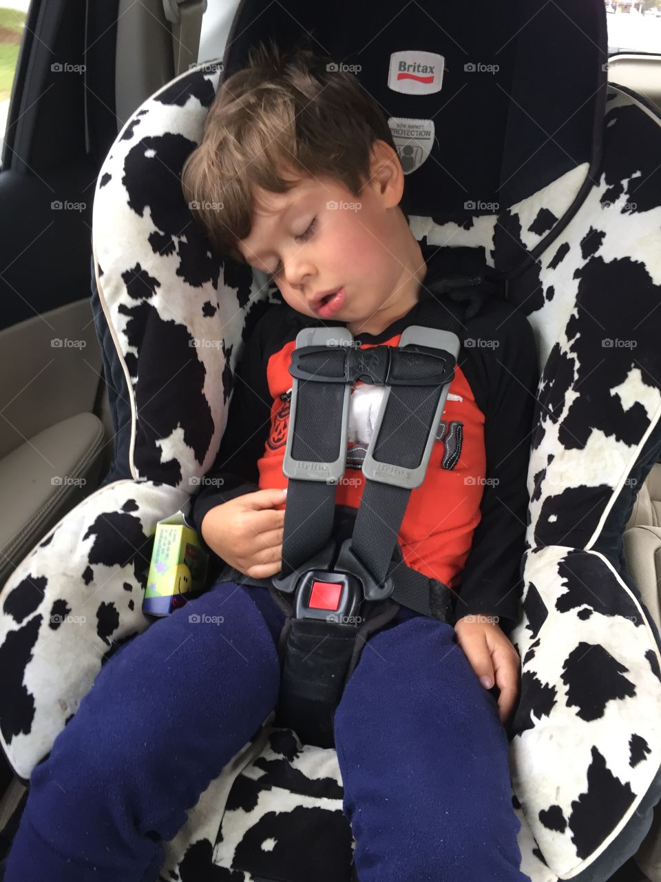 Child Asleep in His Carseat 