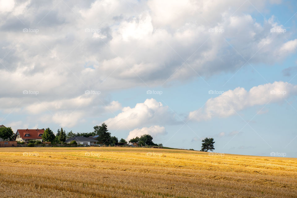 Beautiful Rural Landscape