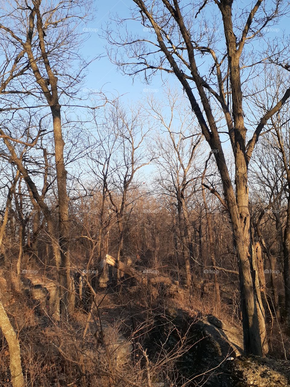 Little Mountain Labyrinth