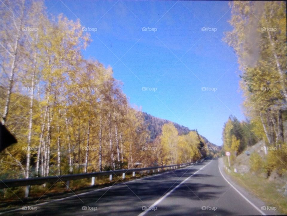 Горы Алтай Mountain altay