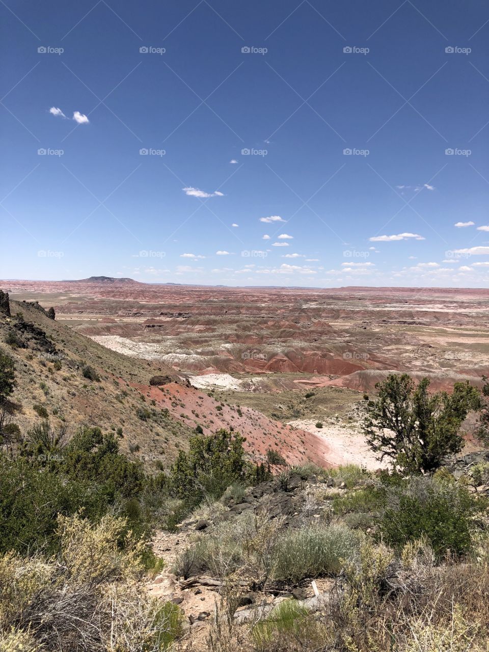 Painted Desert in Arizona