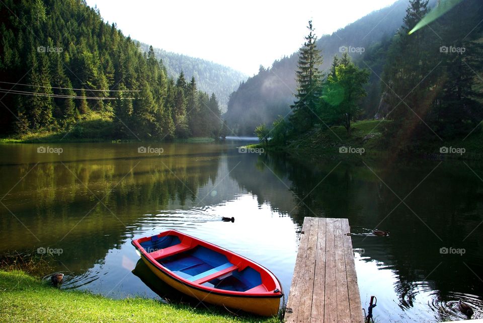 Trees reflecting on lake