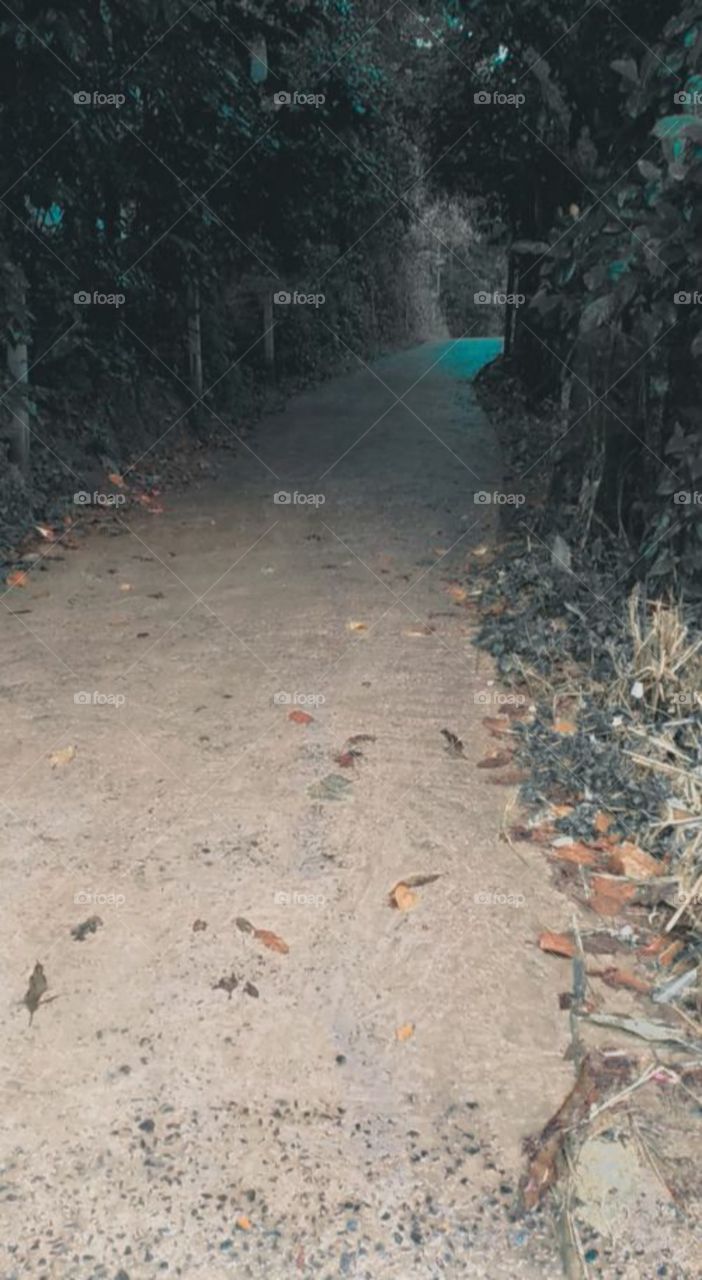 nice environment one way path