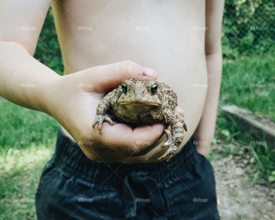 Child holding a toad