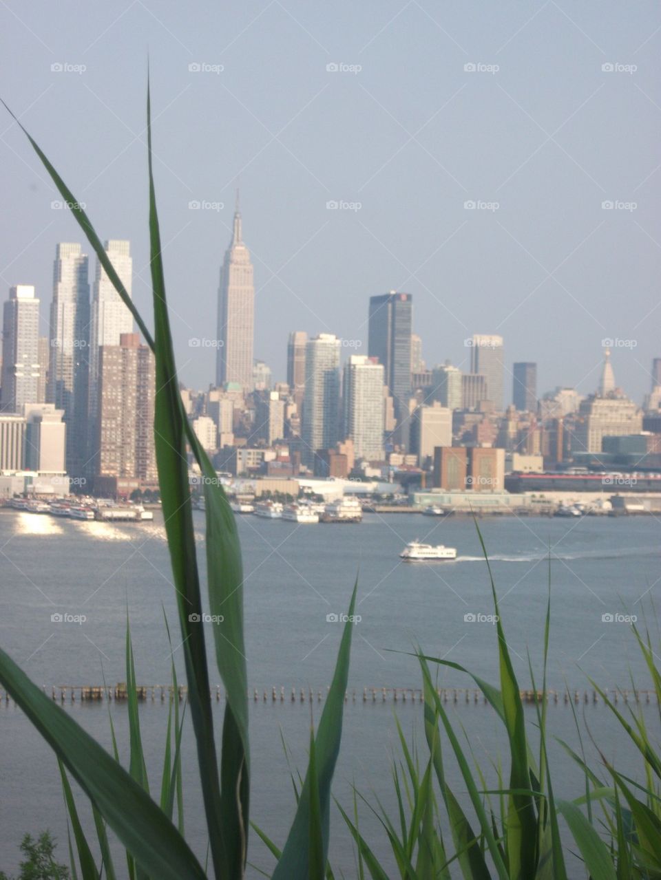 New York skyline grass
