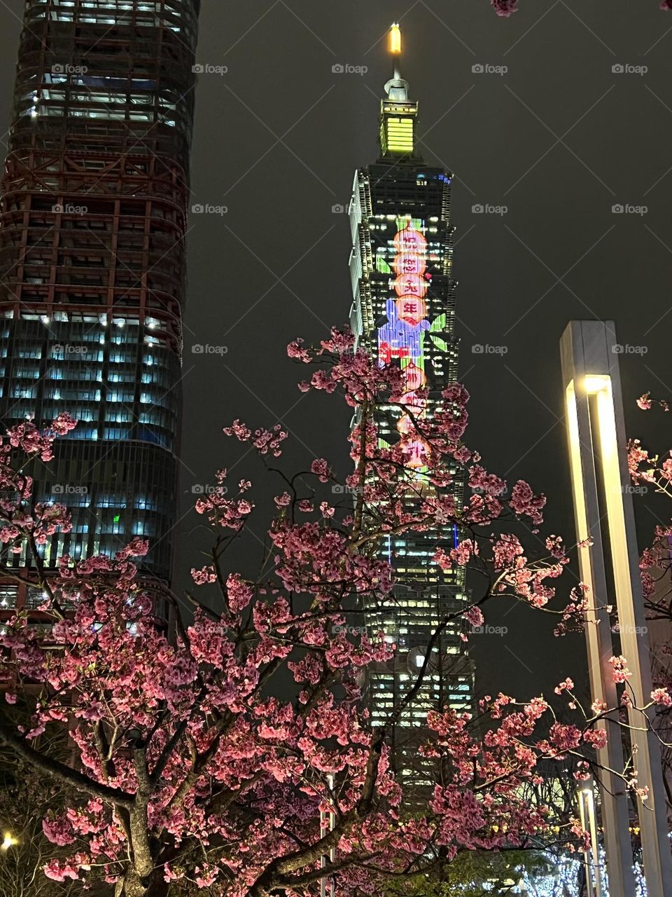 Taipei 101 & Sakura 