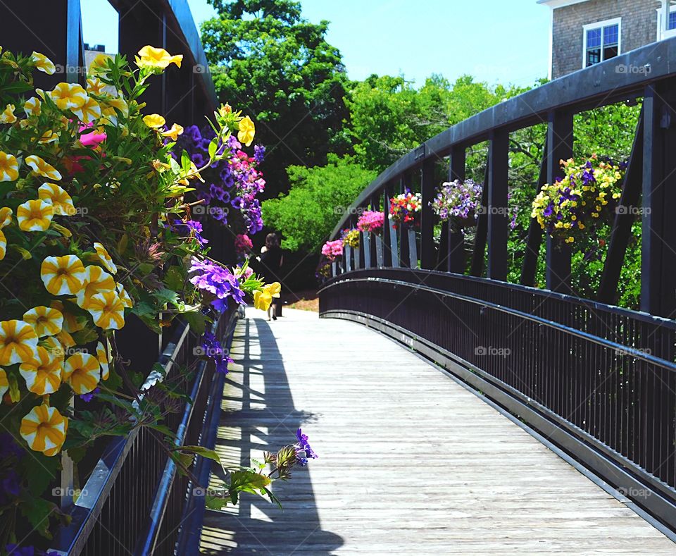 Flower Bridge over the river at Milford Harbour