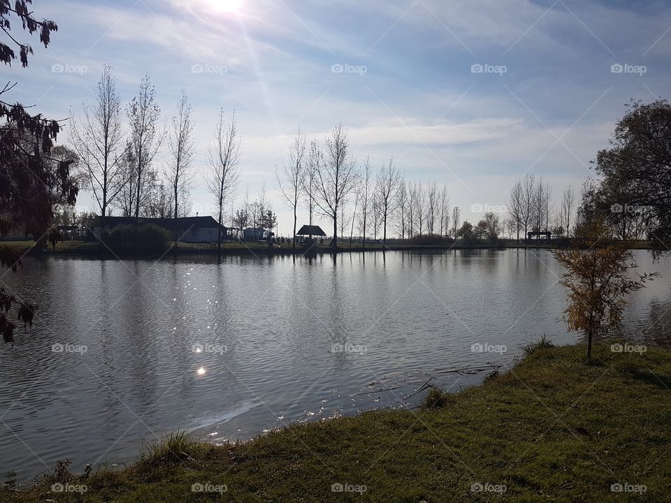 Reflection, Lake, Tree, Landscape, Water