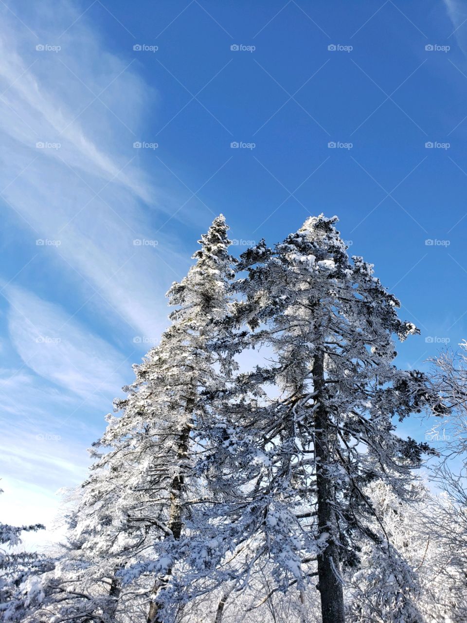 Snow, Winter, No Person, Nature, Cold