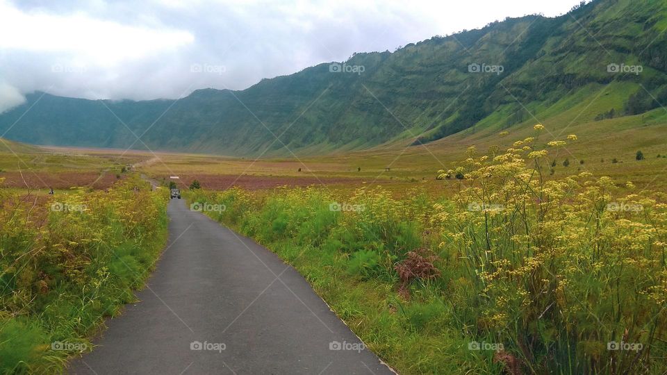 Landscape view of the desert area in the Bromo mountain area in the morning.