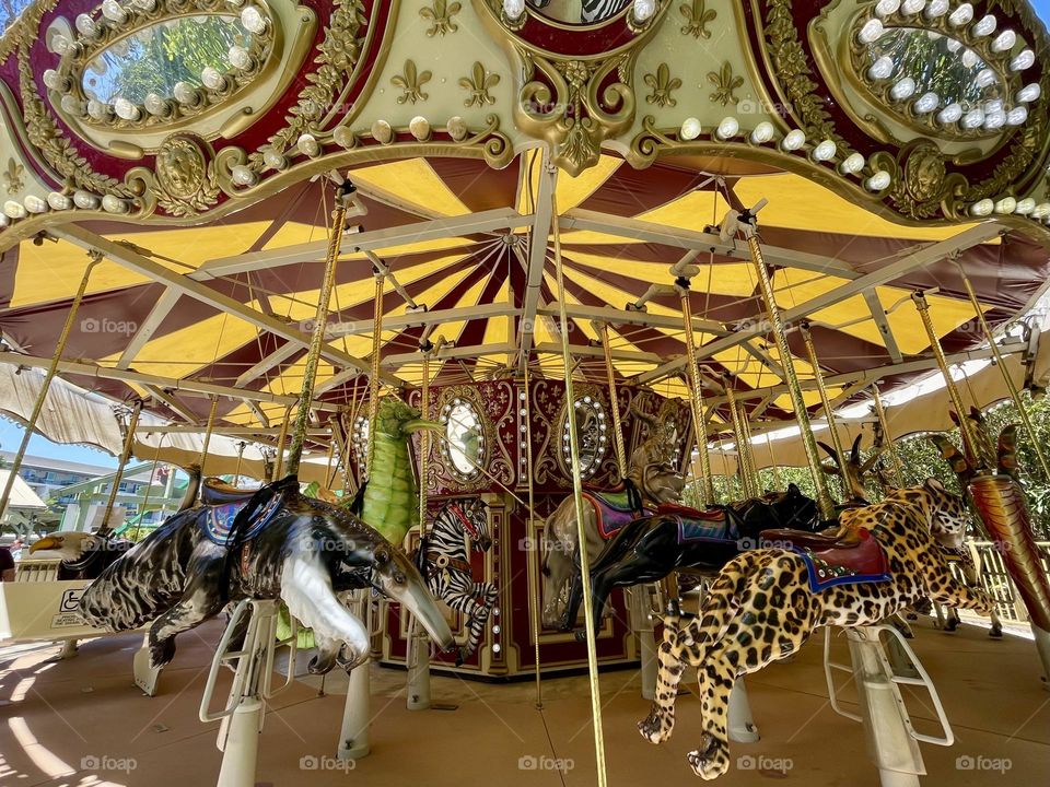 Carousel at the Santa Zoo