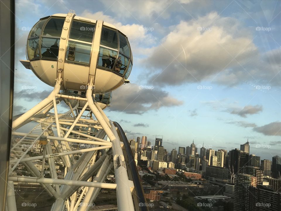 View of the cabin of Melbourne Star and City landscapes 
