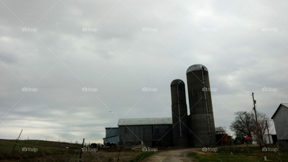 No Person, Landscape, Outdoors, Daylight, Agriculture