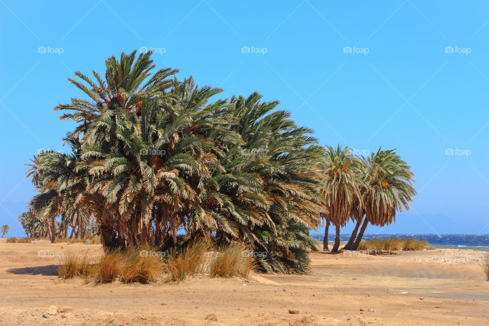 The three pools of Dahab city, South Sinai, Egypt.