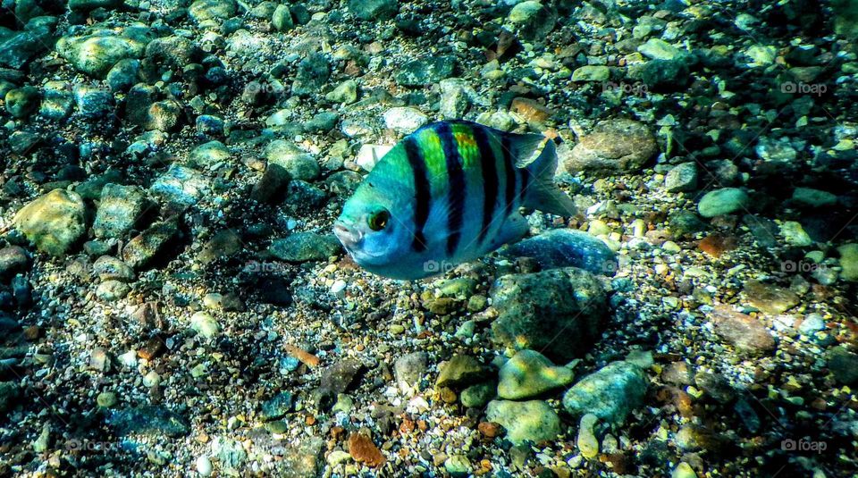 Admire the beauty of the canals of the Red Sea with us ...