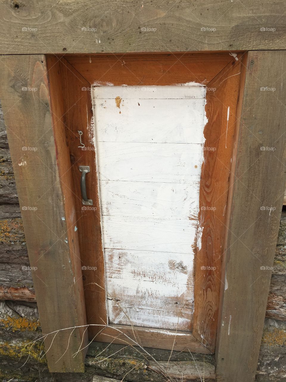 Tiny door on a tiny shed.