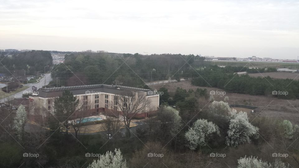 House, Tree, No Person, Landscape, Home