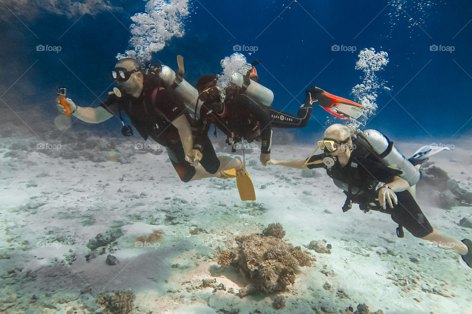 Diving in the Red Sea