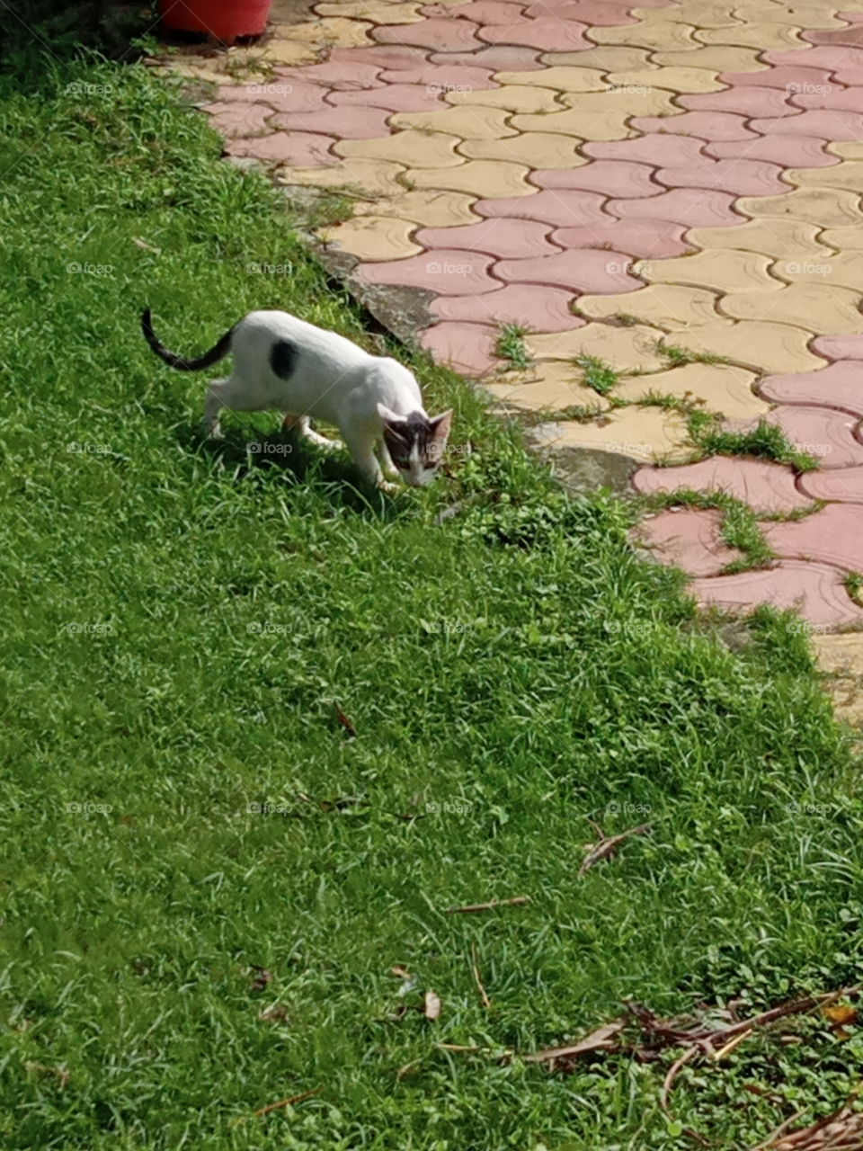 Looking for a playmate 😍