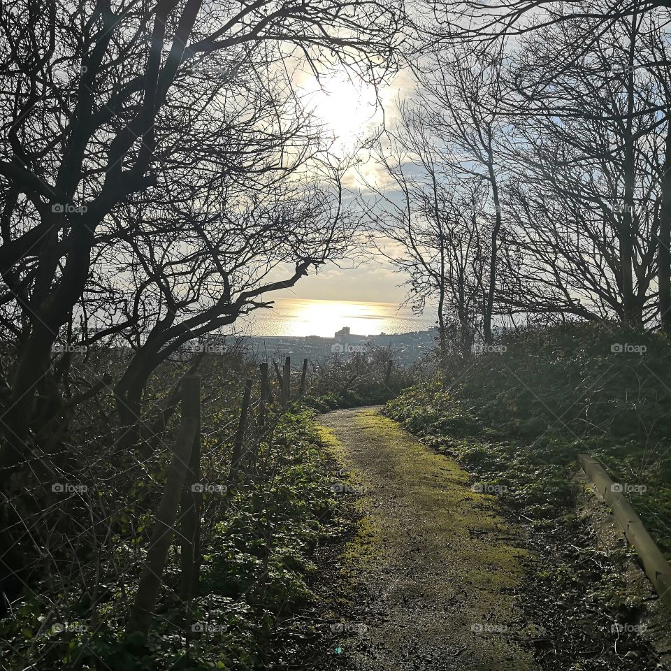 Path towards the sun