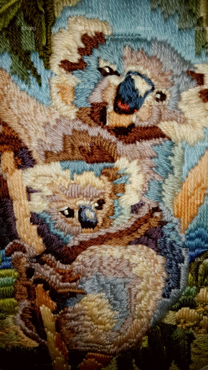 koala bears weaving