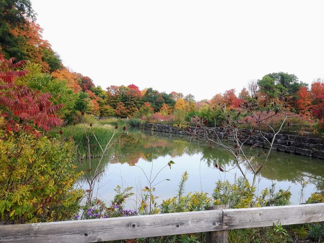 Beautiful fall reflection in water