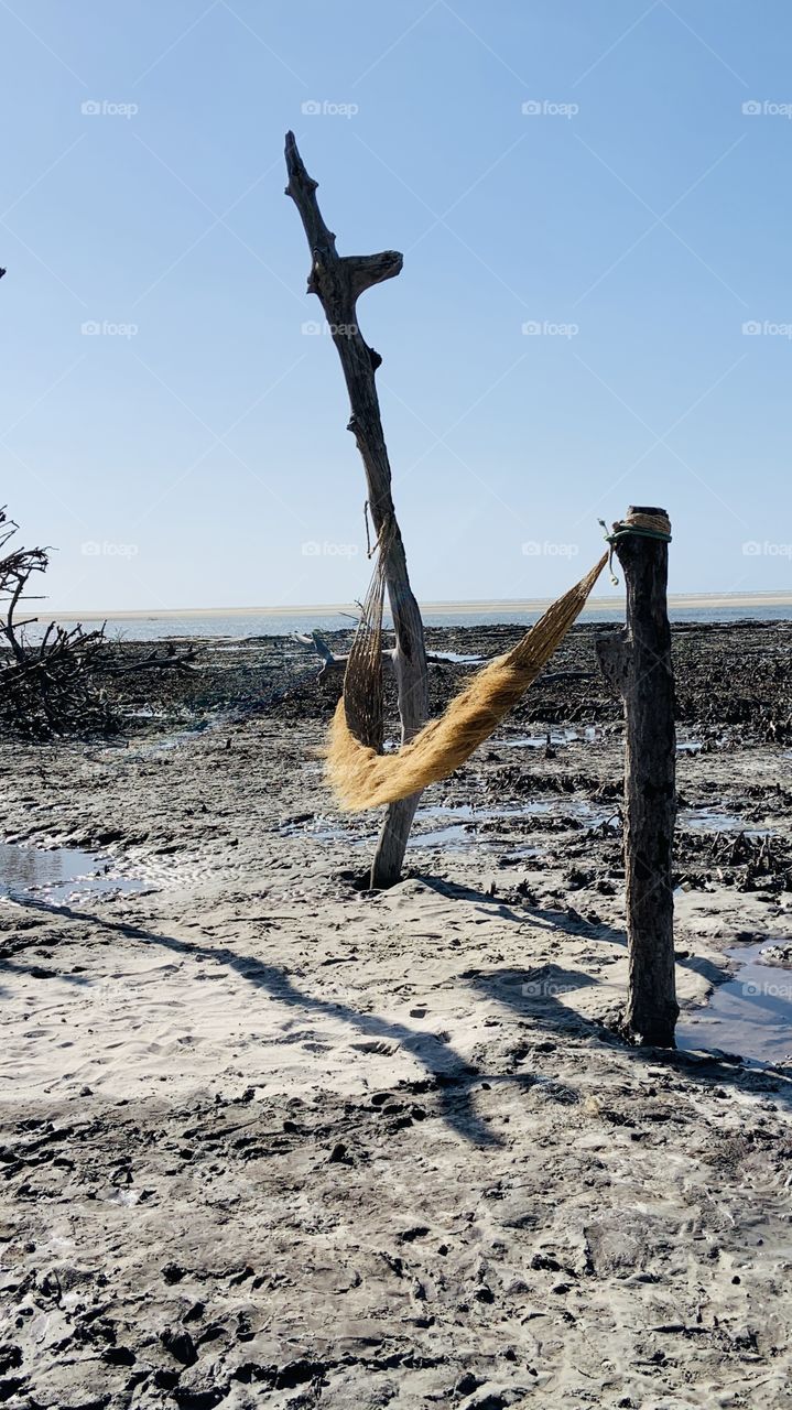 Hammock in the desert beach 