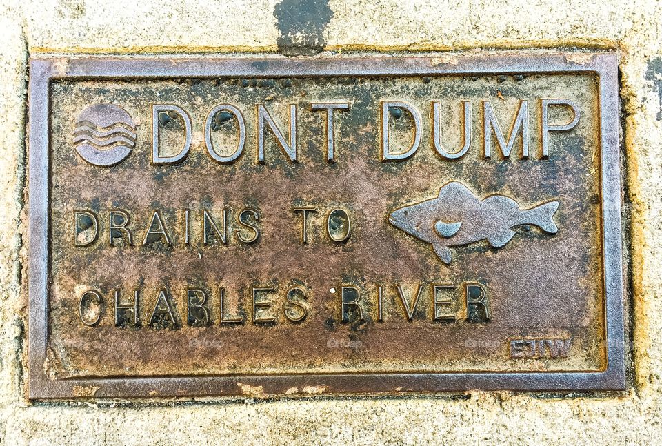 Dump