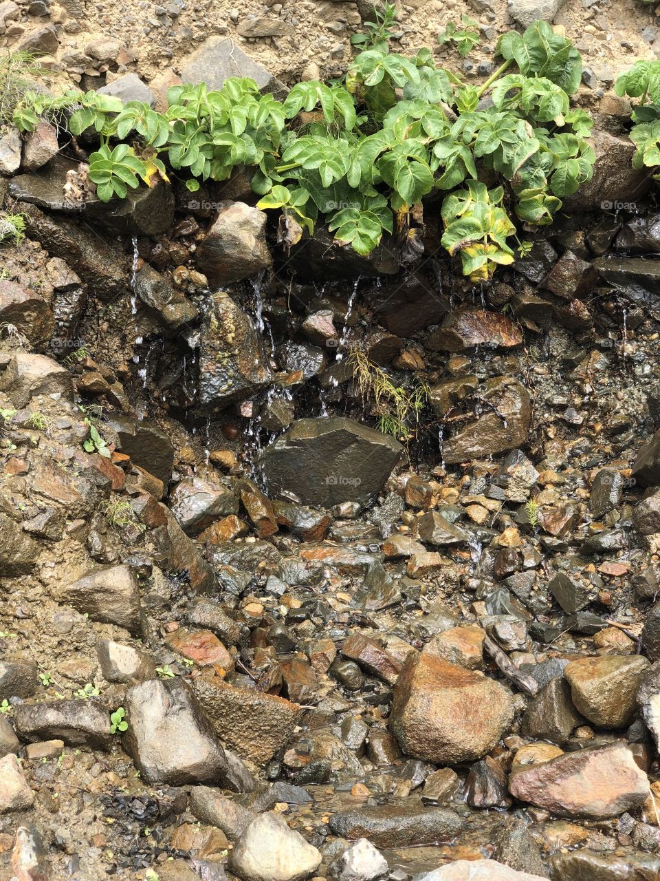 Tributary to the Ocean