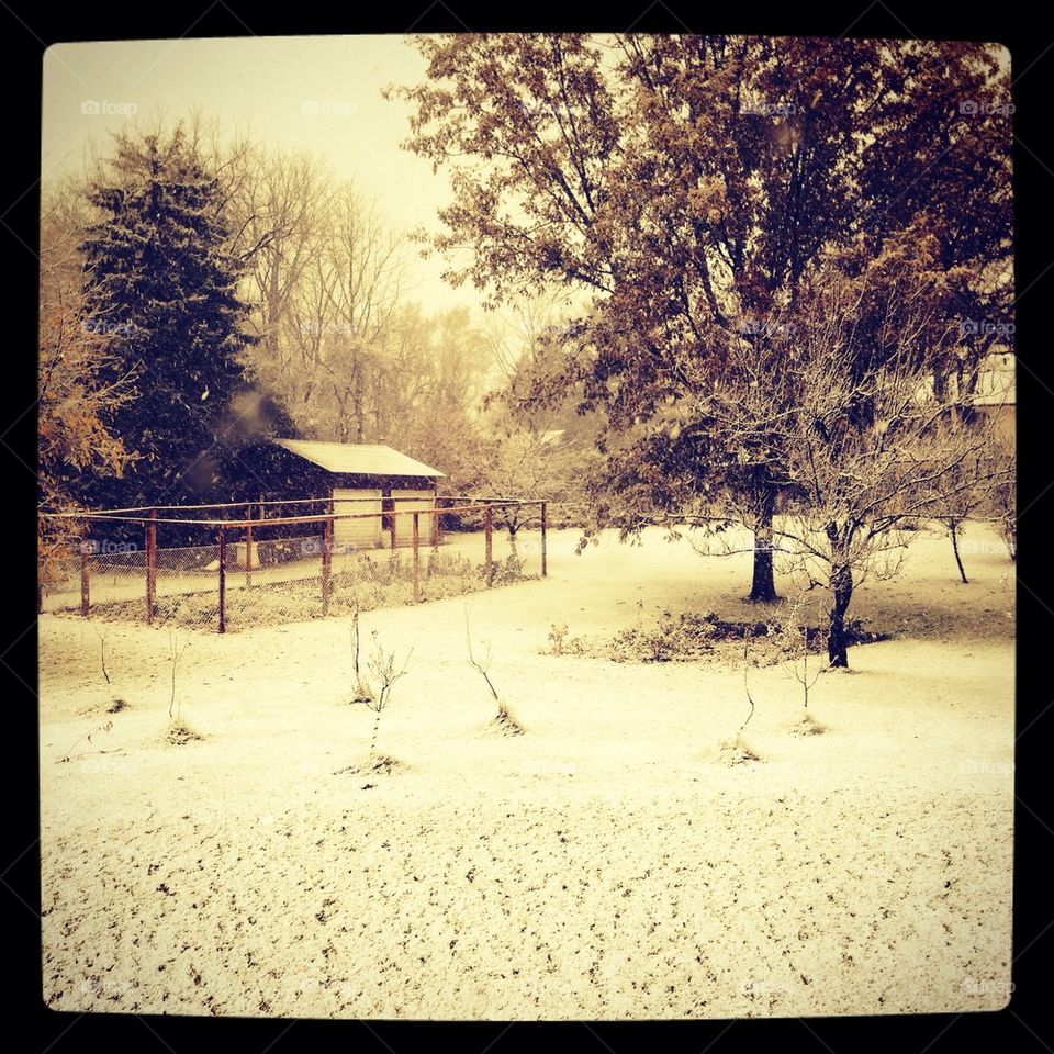 Winter homestead 